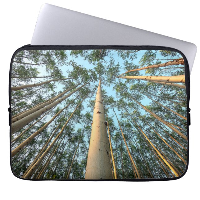 Aspen boomstammen en bladeren, Yukon Laptop Sleeve (Voorkant)