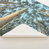 Aspen boomstammen en bladeren, Yukon Sherpa Deken (3/4)