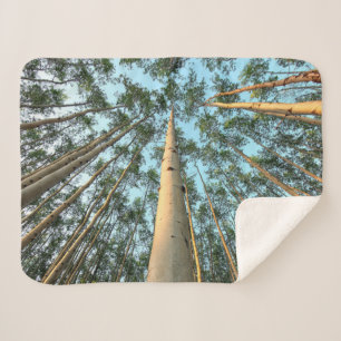 Aspen boomstammen en bladeren, Yukon Sherpa Deken