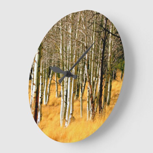 aspen bosklok grote klok (Hoek)