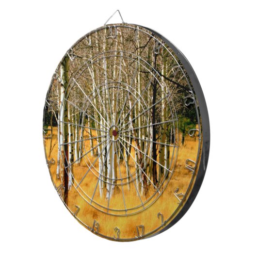 aspen bossen dart board dartbord (Voorkant Rechts)