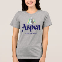 Aspen Colorado Verenigde Staten