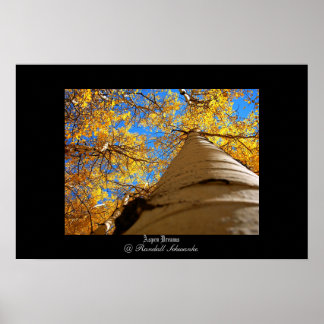 Aspen Dreams Poster