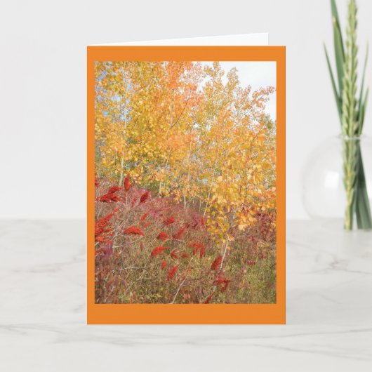 Aspen en Sumac Blank Note Kaart (Voorkant)