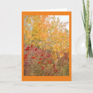 Aspen en Sumac Blank Note Kaart