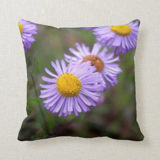 Aspen Fleabane Daisy Flower Pillow Kussen