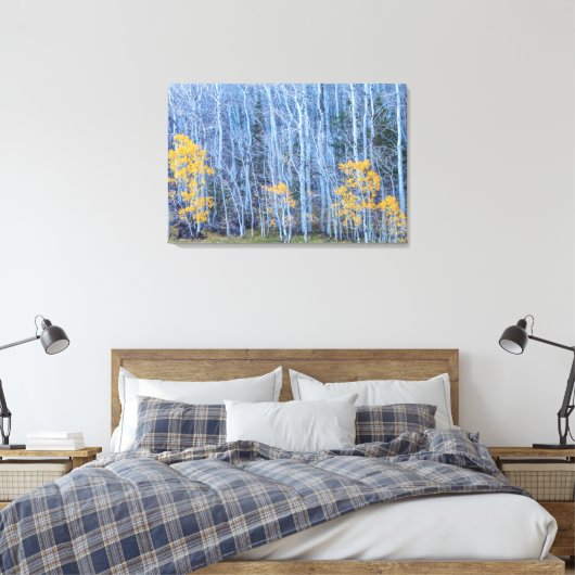Aspen Forest Canvas Afdruk (Insitu (Slaapkamer))