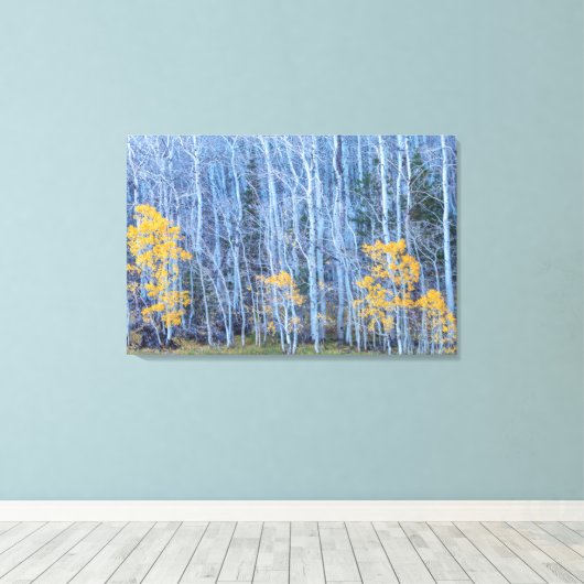 Aspen Forest Canvas Afdruk (Insitu (Houten vloer))