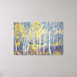 Aspen Forest Canvas Afdruk