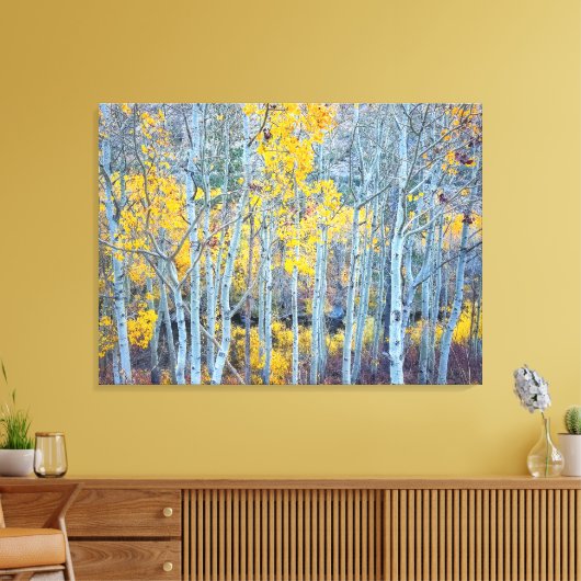 Aspen Forest Canvas Afdruk (Insitu (Woonkamer))