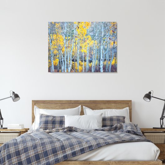 Aspen Forest Canvas Afdruk (Insitu (Slaapkamer))