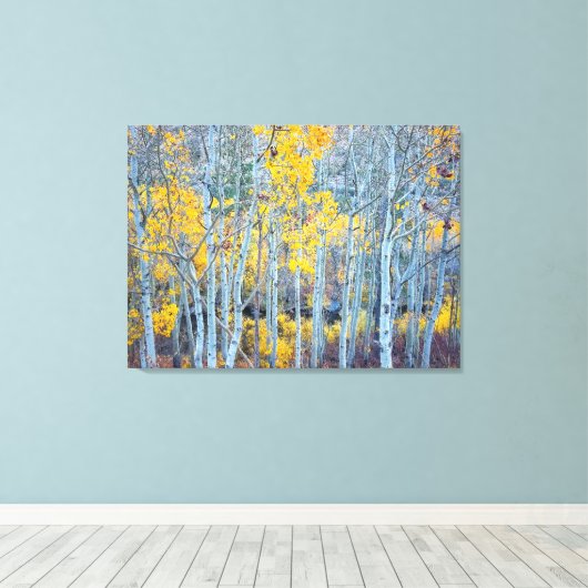 Aspen Forest Canvas Afdruk (Insitu (Houten vloer))