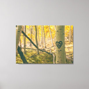 Aspen Forest in de herfst Canvas Afdruk