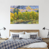 Aspen Forest in de herfst Canvas Afdruk (Insitu (Slaapkamer))