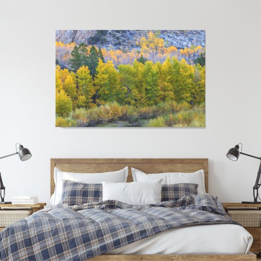 Aspen Forest in de herfst Canvas Afdruk (Insitu (Slaapkamer))