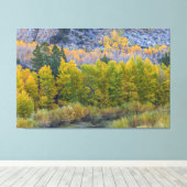 Aspen Forest in de herfst Canvas Afdruk (Insitu (Houten vloer))