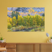Aspen Forest in de herfst Canvas Afdruk (Insitu (Woonkamer))
