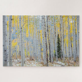 Aspen Forest in de Herfst Legpuzzel