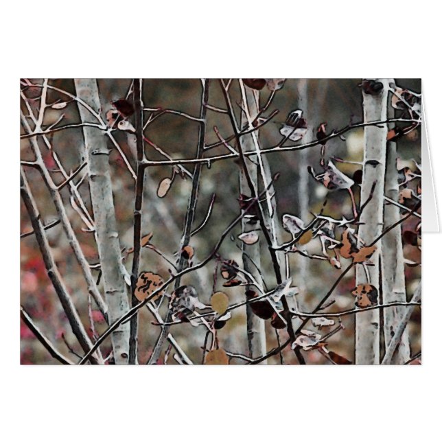 Aspen Forest Late Autumn (Voorkant Horizontaal)