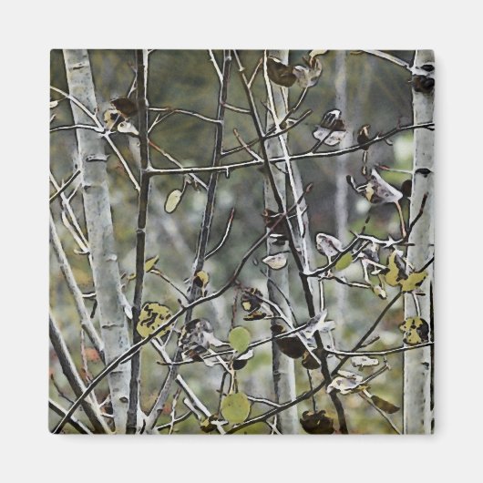 Aspen Forest Magneet (Voorkant)