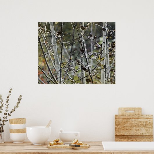 Aspen Forest Poster (Keuken)