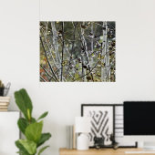 Aspen Forest Poster (Thuiskantoor)