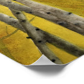 ASPEN FOREST WATERVERF POSTER (Hoek)