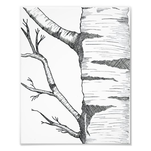 Aspen  foto afdruk (Voorkant)