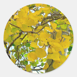 Aspen Gold Sealers! Ronde Sticker