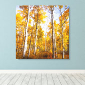 Aspen Groove Yellow Fall Leaves Canvas Afdruk (Insitu (Houten vloer))