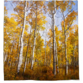 Aspen Groove Yellow Fall Leaves Douchegordijn (Voorkant)