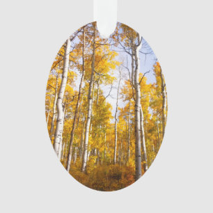 Aspen Groove Yellow Fall Leaves Ornament