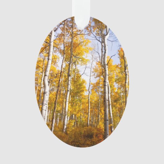 Aspen Groove Yellow Fall Leaves Ornament (voorkant)