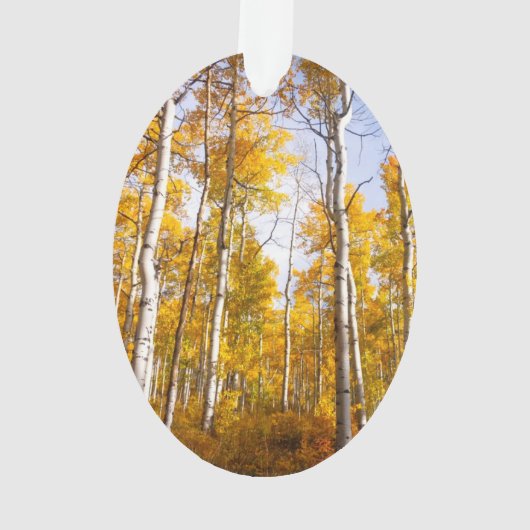 Aspen Groove Yellow Fall Leaves Ornament (achterkant)