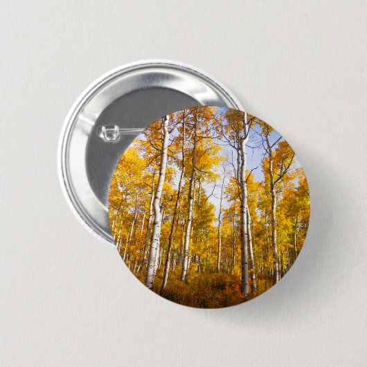 Aspen Groove Yellow Fall Leaves Ronde Button 5,7 Cm (Voorkant /achterkant)
