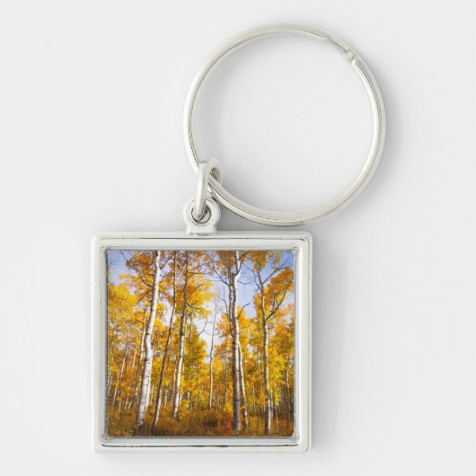 Aspen Groove Yellow Fall Leaves Sleutelhanger (Voorkant)