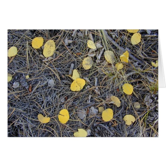 Aspen Ground II kaart (Voorkant Horizontaal)