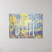 Aspen Grove Canvas Afdruk (Voorkant)