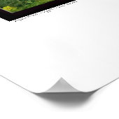 Aspen Grove, Cripple Creek, Colorado Poster (Hoek)