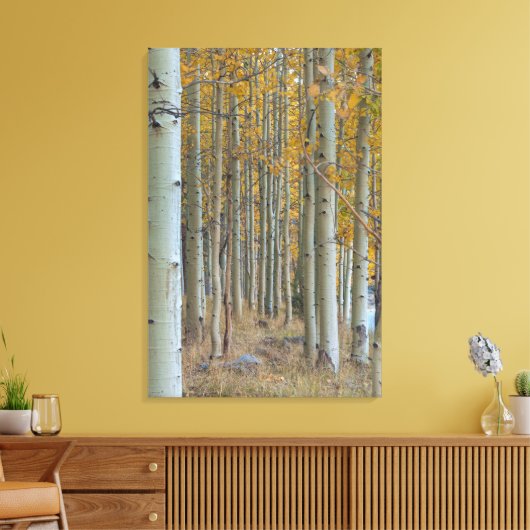 Aspen Grove in de herfst Canvas Afdruk (Insitu (Woonkamer))