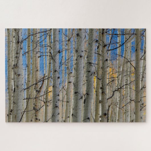 Aspen Groves | Rocky Mountains Colorado Legpuzzel (Horizontaal)