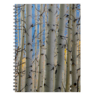Aspen Groves   Rocky Mountains Colorado Notitieboek