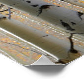 Aspen Groves | Rocky Mountains Colorado Poster (Hoek)