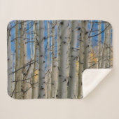 Aspen Groves | Rocky Mountains Colorado Sherpa Deken (Voorkant (horizontaal))