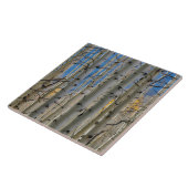 Aspen Groves | Rocky Mountains Colorado Tegeltje (Zijkant)