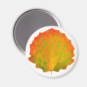 Aspen herfstblad magneet (Voorkant / Achterkant)