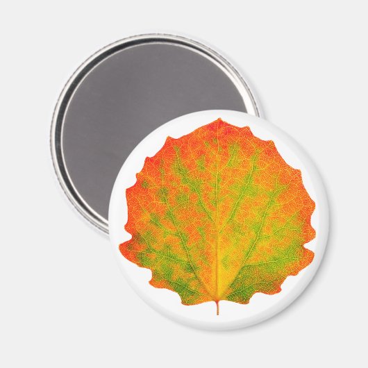 Aspen herfstblad magneet (Voorkant / Achterkant)
