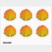 Aspen herfstblad ronde sticker (Vel)