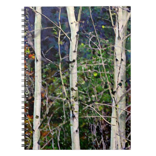 Aspen Impressions Notitieboek (Voorkant)