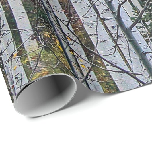 Aspen in de herfst cadeaupapier (Rol Hoek)